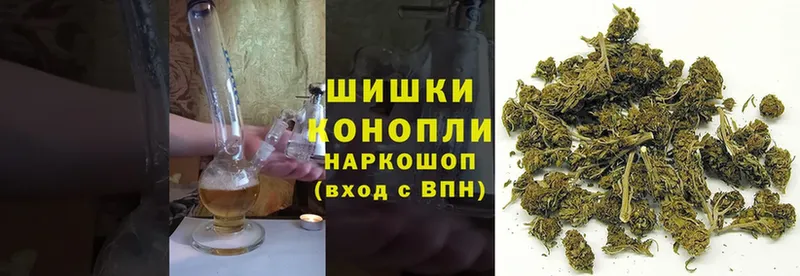 Конопля Ganja  Болгар 